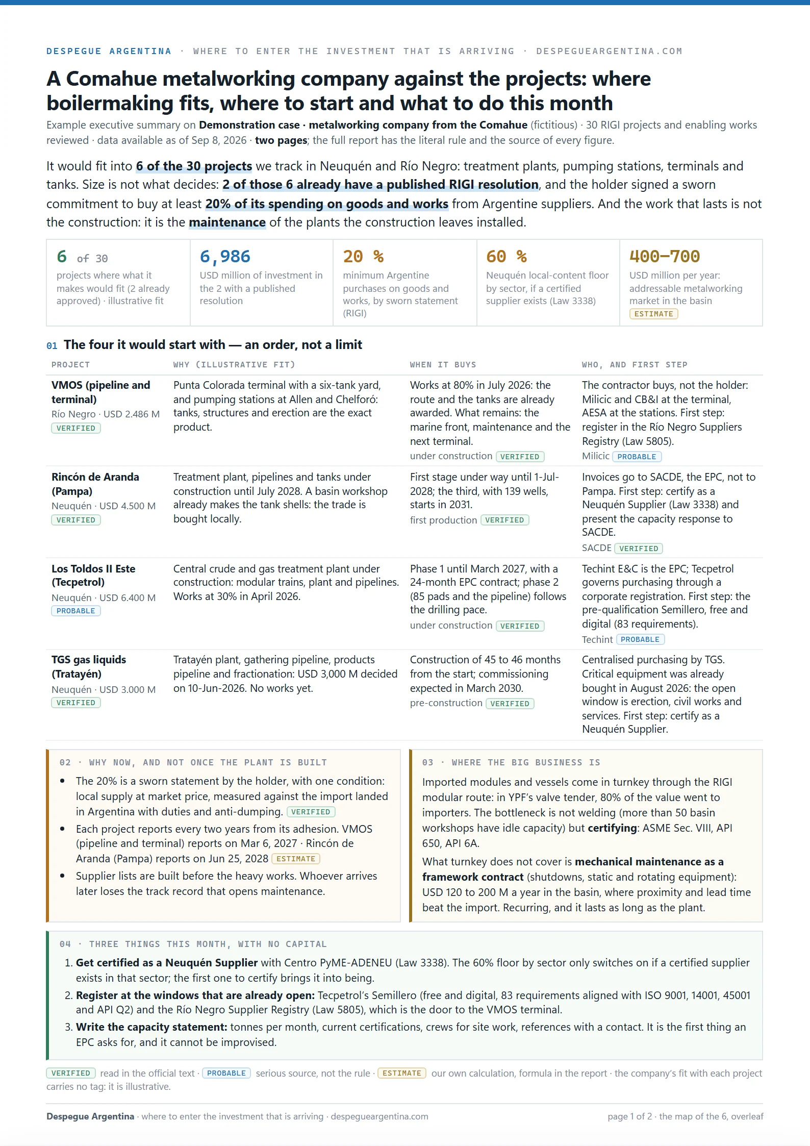 Page 1 of the example executive summary